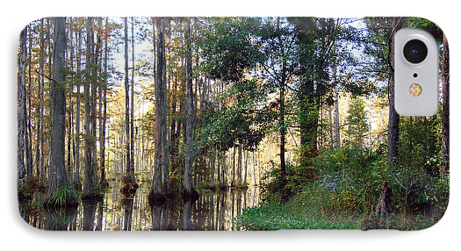 Garden iPhone 7 Case featuring the photograph Cypress Gardens 2 by Ellen Tully