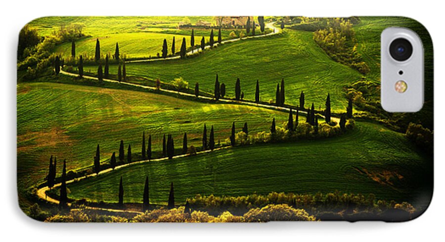 Toskany iPhone 7 Case featuring the photograph Cypresses Alley by Jaroslaw Blaminsky
