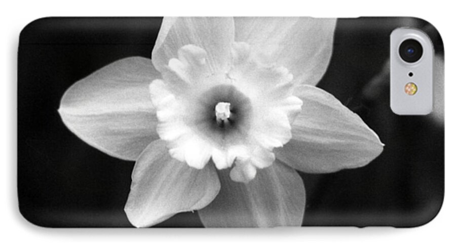 Daffodil iPhone 7 Case featuring the photograph Daffodils - Infrared 01 by Pamela Critchlow