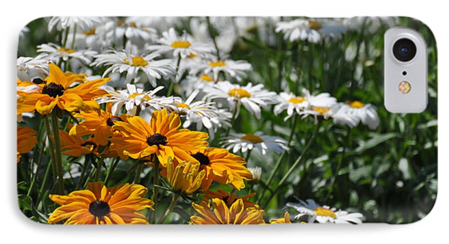 Flora iPhone 7 Case featuring the photograph Daisy Fields by Bianca Nadeau