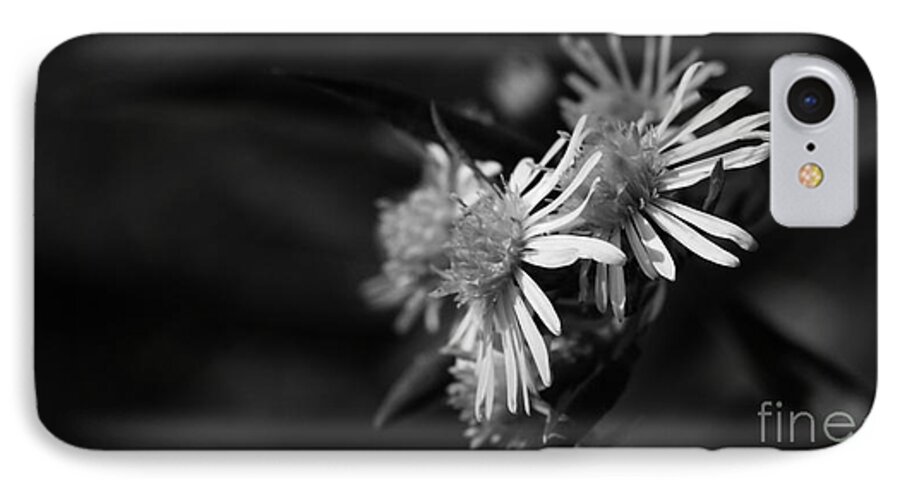 Wildflower iPhone 7 Case featuring the photograph Dames En Noir by Linda Shafer