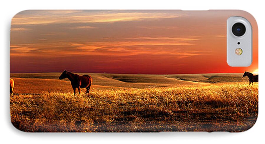 Horse iPhone 7 Case featuring the photograph Day is Done by Rod Seel