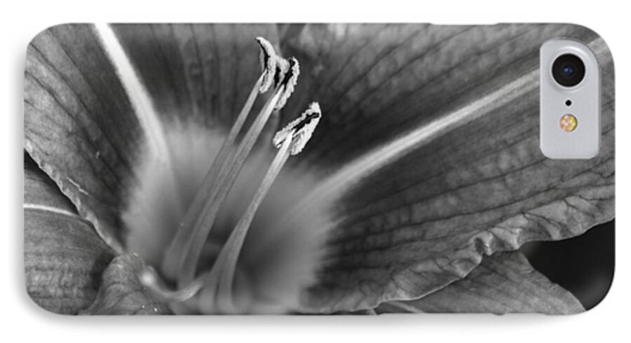 Lily iPhone 7 Case featuring the photograph Day Lily In Black and White by Jeanette C Landstrom