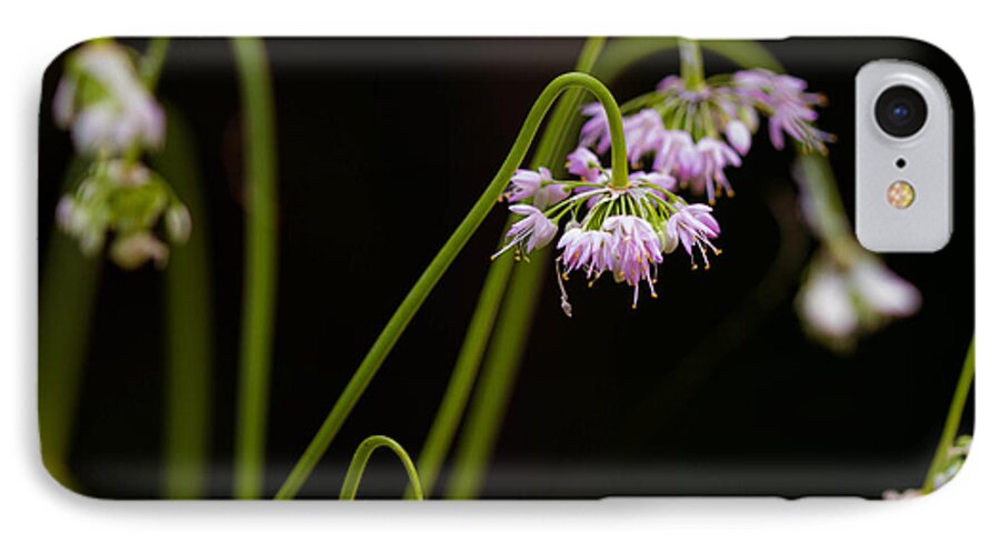 2013 iPhone 7 Case featuring the photograph Delicate pink drops by Haren Images- Kriss Haren