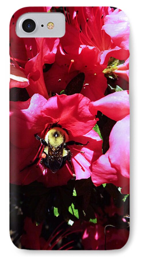 Flowers iPhone 7 Case featuring the photograph Delving into Sweetness by Robyn King