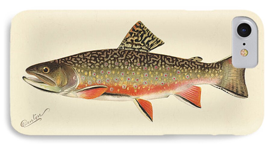 Antique iPhone 7 Case featuring the painting Denton Brook Trout by Gary Grayson
