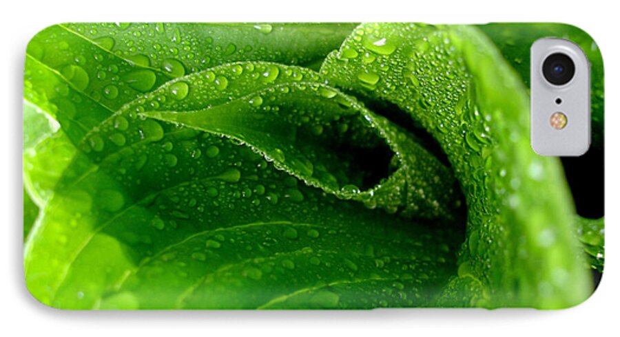 Dew Drops iPhone 7 Case featuring the photograph Dew Drops by Lisa Phillips