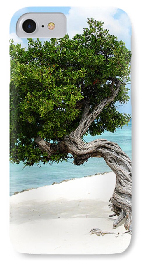 Aruba iPhone 7 Case featuring the photograph Divi Divi Tree in Aruba by DejaVu Designs
