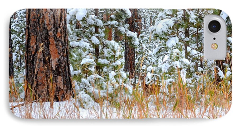 Pine Trees iPhone 7 Case featuring the photograph Do You See Me by Clarice Lakota