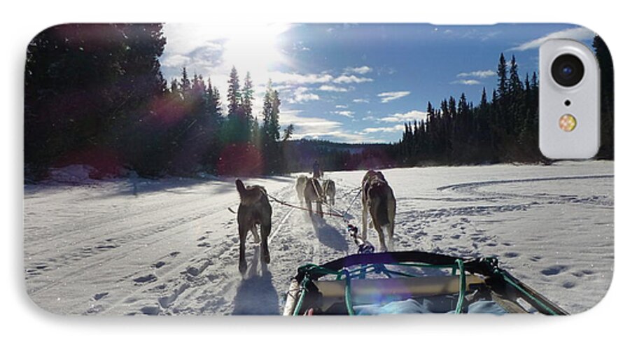 Dog Sledding iPhone 7 Case featuring the photograph Dog Sledding in the Yukon by Amelia Racca