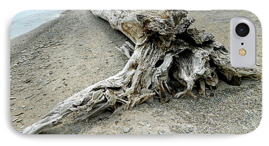 Flowers iPhone 7 Case featuring the photograph Driftwood at Lake Erie by Kathy Barney