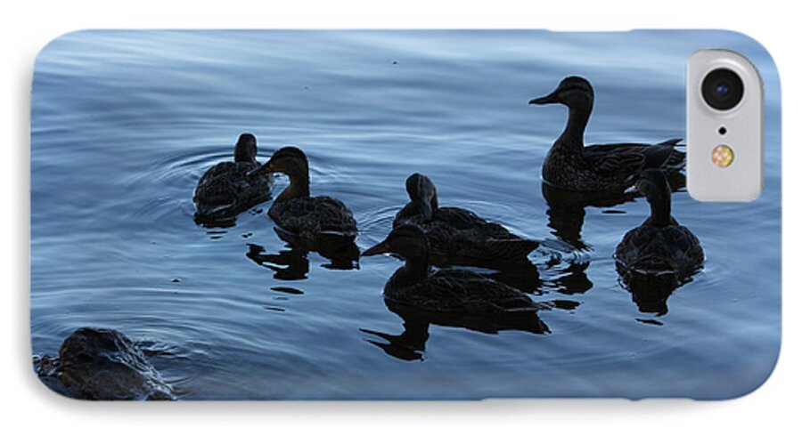 Ducks iPhone 7 Case featuring the photograph Ducks at Dusk by Derek O'Gorman