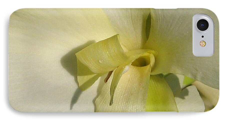 Dwarf iPhone 7 Case featuring the photograph Dwarf Canna Lily named Ermine by J McCombie