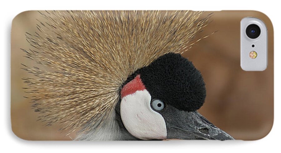 African Crowned Cranes iPhone 7 Case featuring the photograph East African Crowned Crane by Ernest Echols