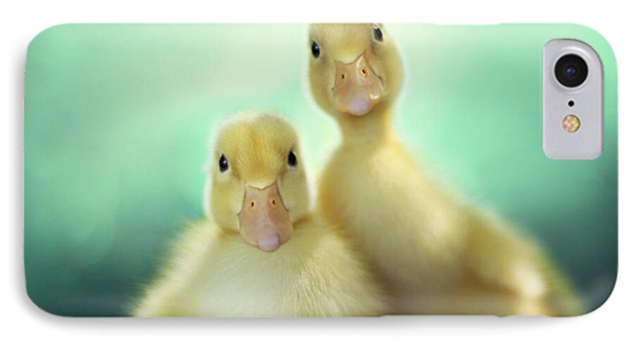 Duck iPhone 7 Case featuring the photograph Edgar and Sally by Amy Tyler