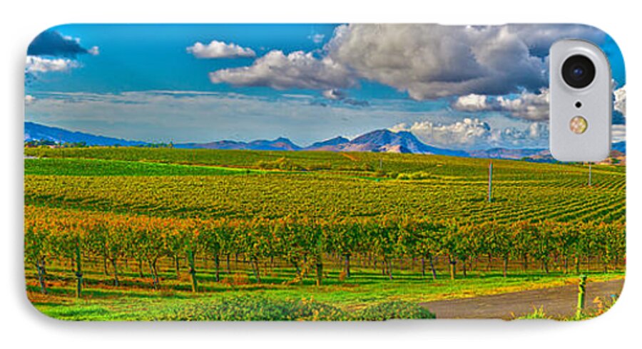 Wineries iPhone 7 Case featuring the photograph Edna Wineries CA by Richard J Cassato