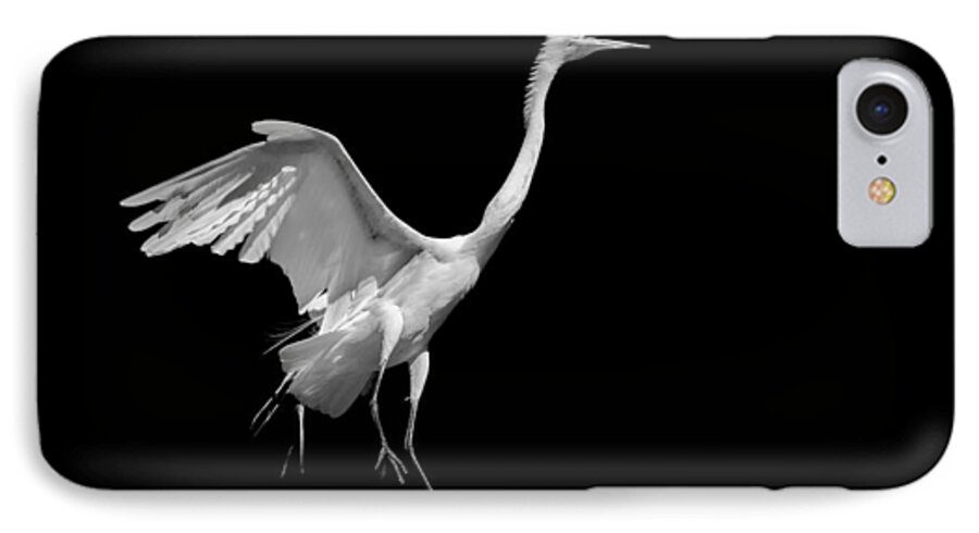 Egret iPhone 7 Case featuring the photograph Egret on Black by Andy Smetzer