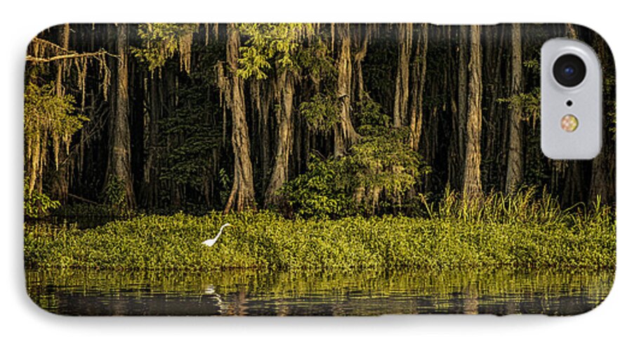 caddo Lake iPhone 7 Case featuring the photograph Egret on Caddo Lake by Tamyra Ayles