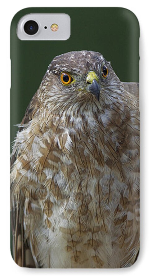 Nature iPhone 7 Case featuring the photograph Eh by Gerry Sibell