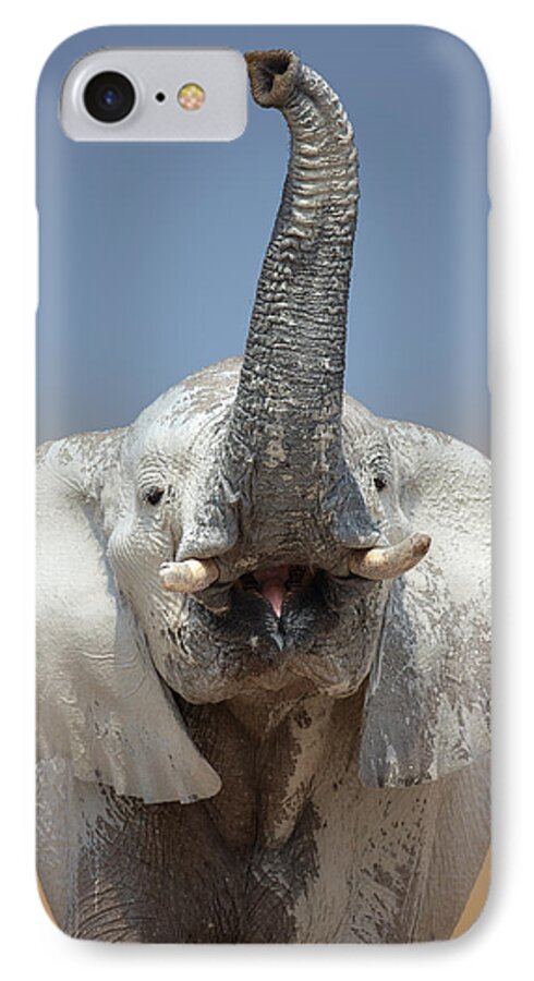 Wild iPhone 7 Case featuring the photograph Elephant portrait by Johan Swanepoel