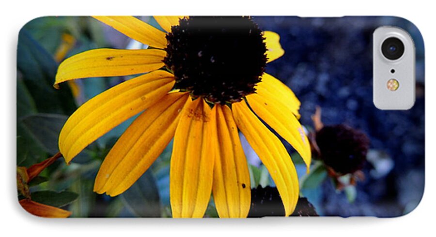 Flowers iPhone 7 Case featuring the photograph End of Summer by Rabiah Seminole