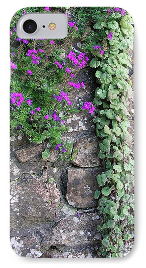 English Garden Wall iPhone 7 Case featuring the photograph English Garden Wall by Bev Conover