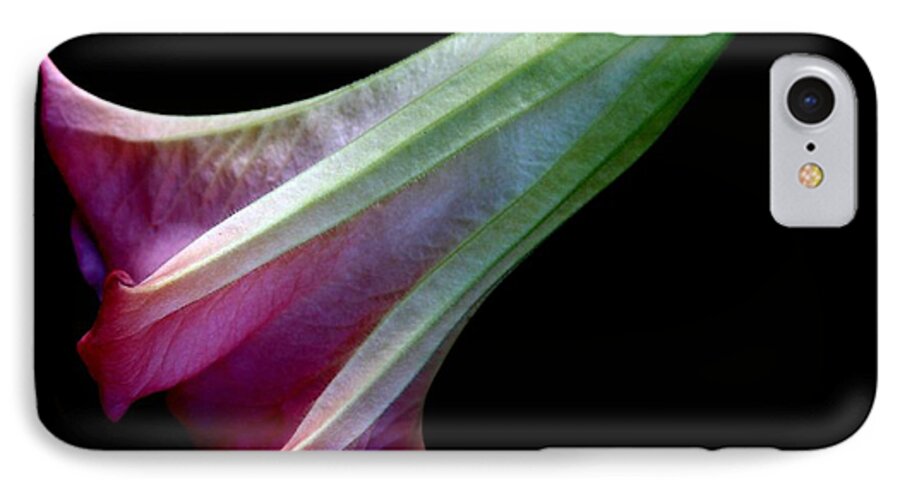 Angel's Trumpet iPhone 7 Case featuring the photograph Evening Poetry by Geri Glavis