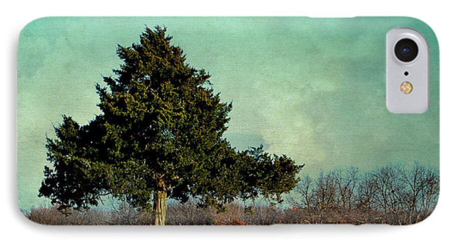 Tree iPhone 7 Case featuring the photograph Evergreen by Deena Stoddard
