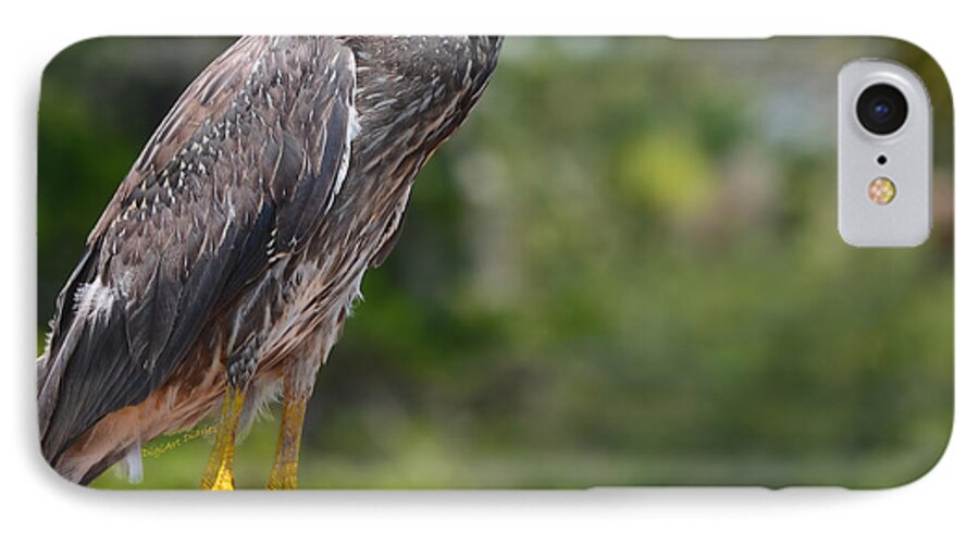 Heron iPhone 7 Case featuring the photograph Eye to Lens by DigiArt Diaries by Vicky B Fuller