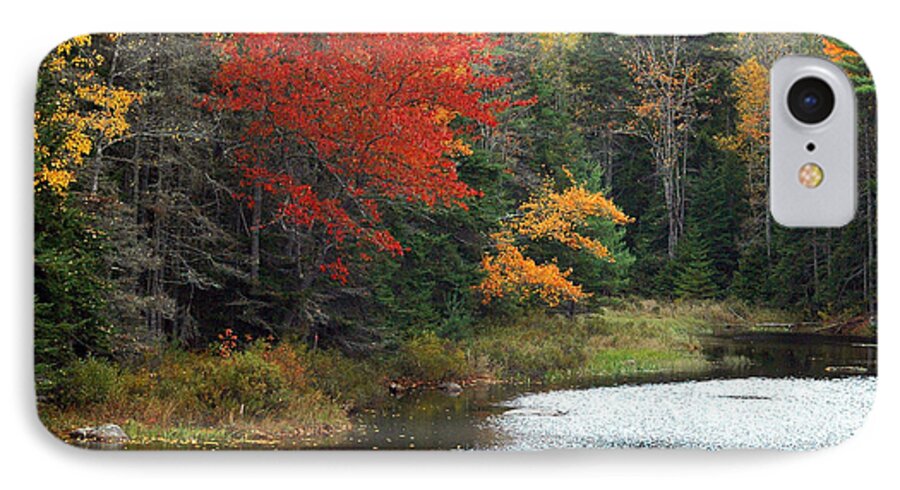 Fall Colors iPhone 7 Case featuring the photograph Fall Colors On A Lake by Robert Suggs