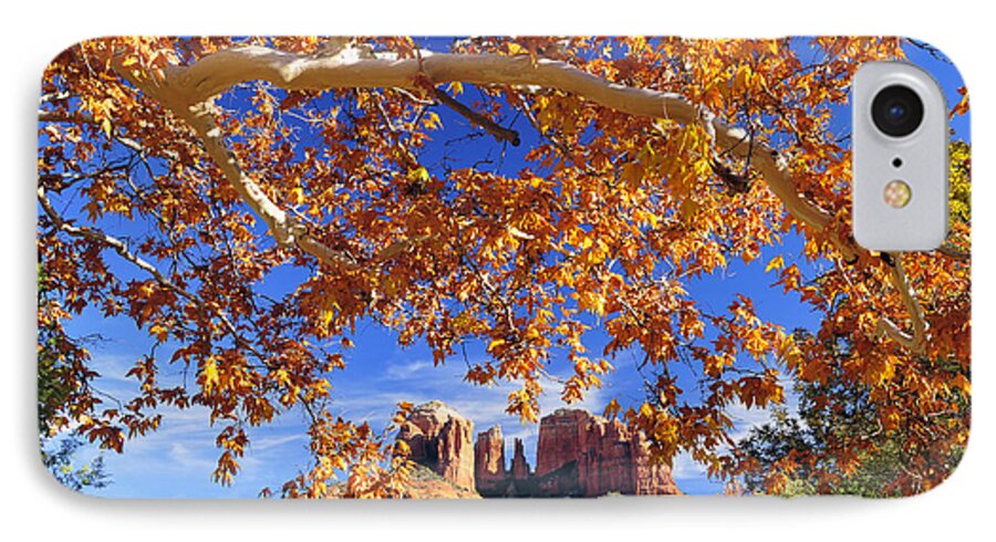 Cathedral Rock iPhone 7 Case featuring the photograph Fall In Sedona by Dan Myers