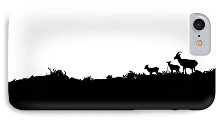 Sheep iPhone 7 Case featuring the photograph Family by Mark Ross