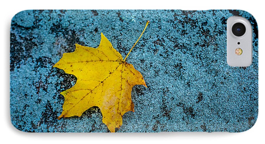 Autumn iPhone 7 Case featuring the photograph First of its Kind by Elvira Pinkhas