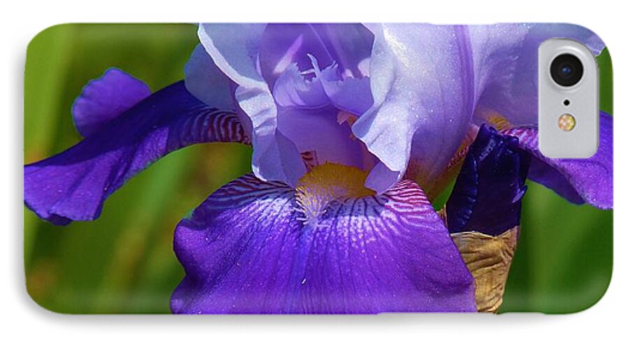 Flower iPhone 7 Case featuring the photograph Flag Flying Proudly by Jeanette Oberholtzer