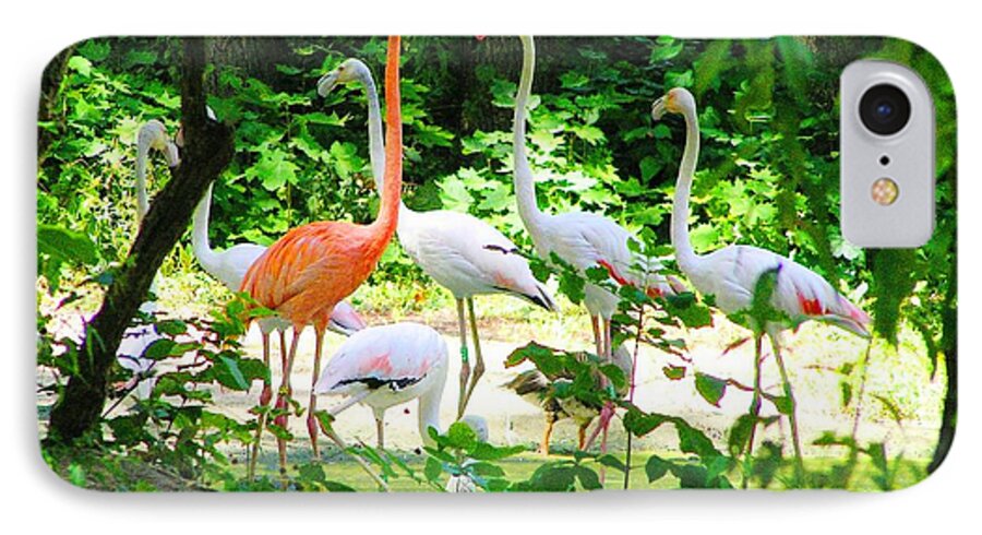 Flamingo iPhone 7 Case featuring the photograph Flamingo by Oleg Zavarzin