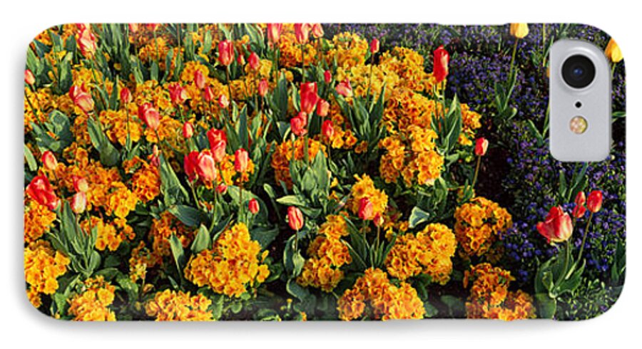 Photography iPhone 7 Case featuring the photograph Flowers In Hyde Park, City by Panoramic Images