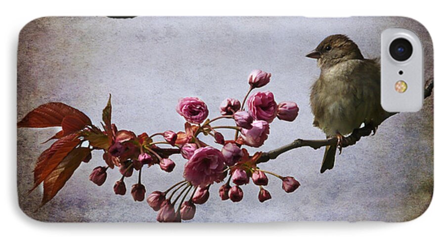 Sparrow iPhone 7 Case featuring the photograph Fluffy Sparrow by Barbara Orenya