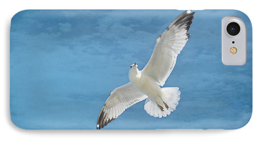 Seagull iPhone 7 Case featuring the photograph Fly high by Kelley Nelson