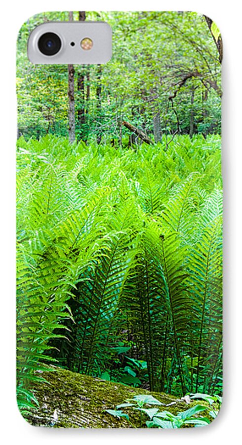 Michigan iPhone 7 Case featuring the photograph Forest Ferns  by Lars Lentz