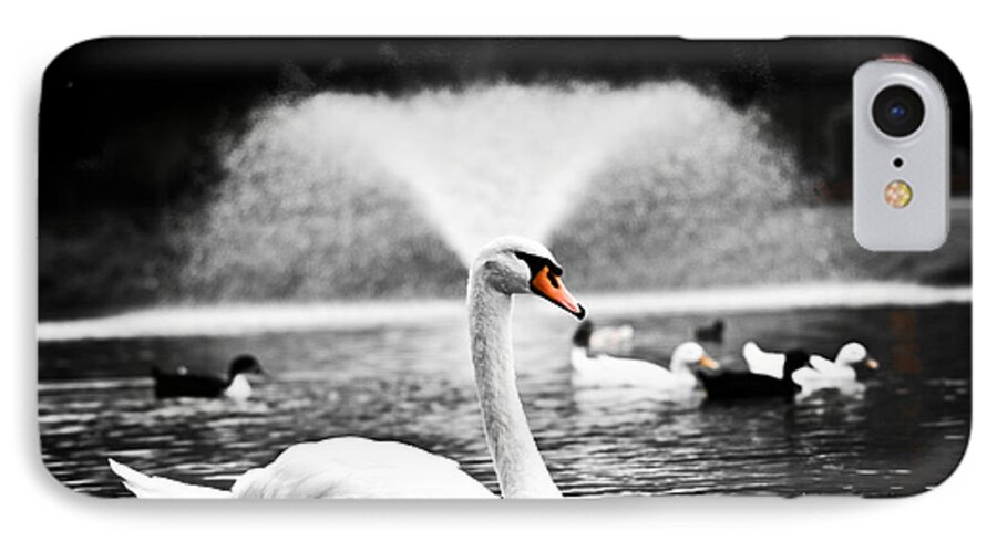 Swan iPhone 7 Case featuring the photograph Fountain Swan by Shane Holsclaw