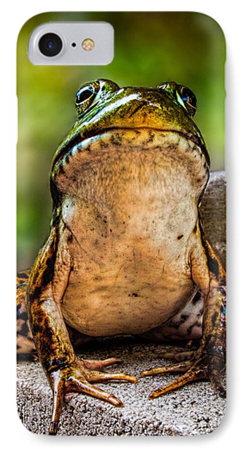 Frog iPhone 7 Case featuring the photograph Frog Prince or so he thinks by Bob Orsillo