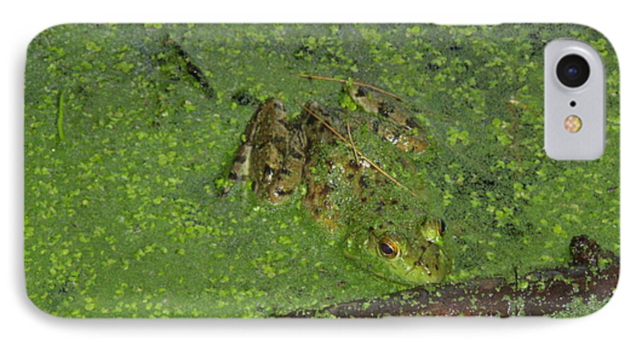  Anura iPhone 7 Case featuring the photograph Froggie by Robert Nickologianis