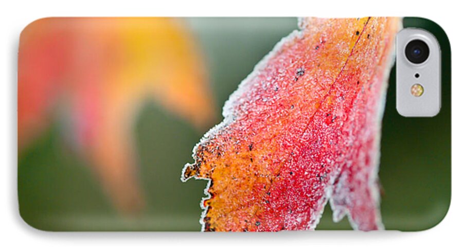 Frosty Leaf iPhone 7 Case featuring the photograph Frosty Leaf by Kerri Farley