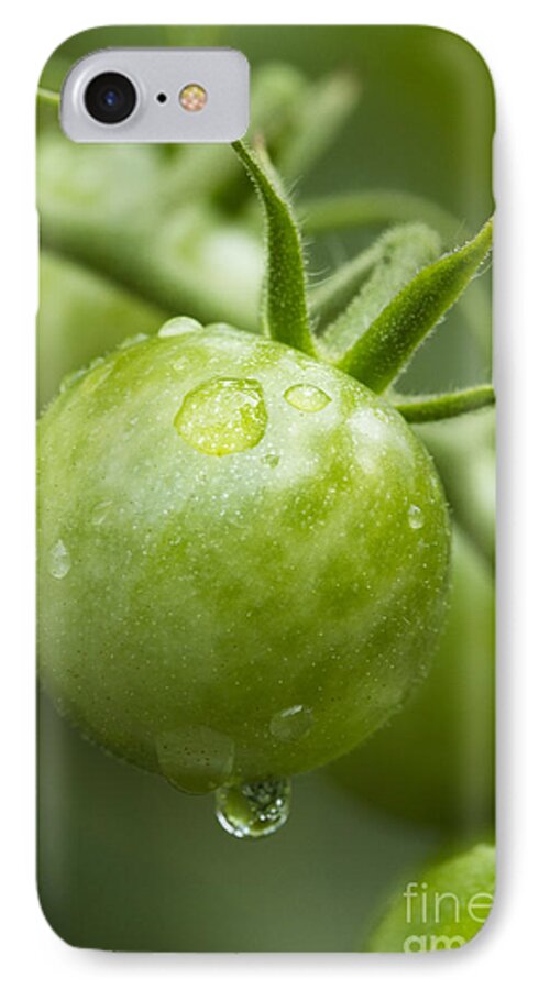 Green iPhone 7 Case featuring the photograph Garden Fresh by Carrie Cranwill