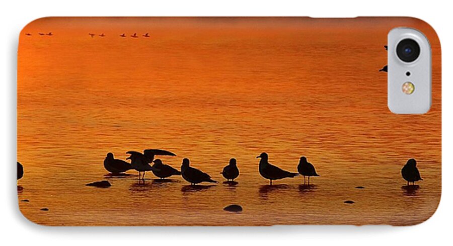 Sunrise iPhone 7 Case featuring the photograph Gathering at Sunrise by Nick Kloepping
