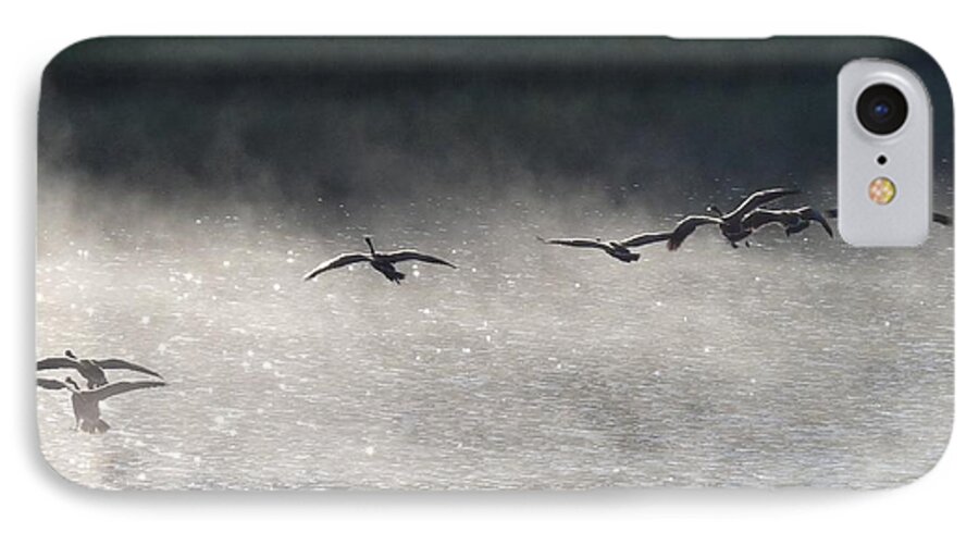 Canada Goose iPhone 7 Case featuring the photograph Geese over Burgess Lake by Marilyn Burton