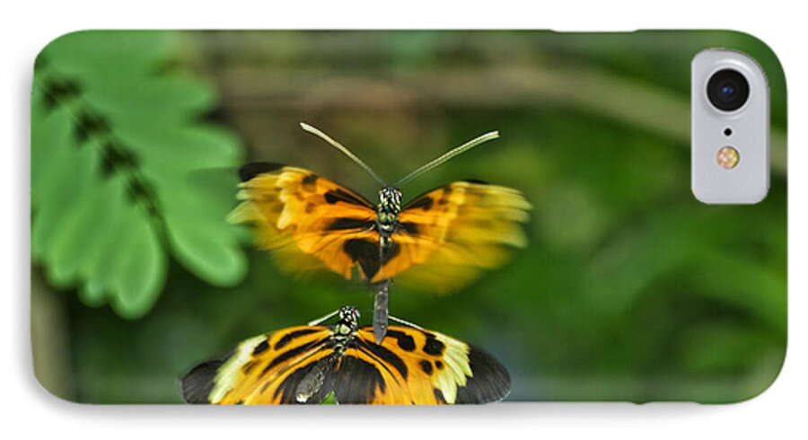 Mating iPhone 7 Case featuring the photograph Gentle Butterfly Courtship 03 by Thomas Woolworth