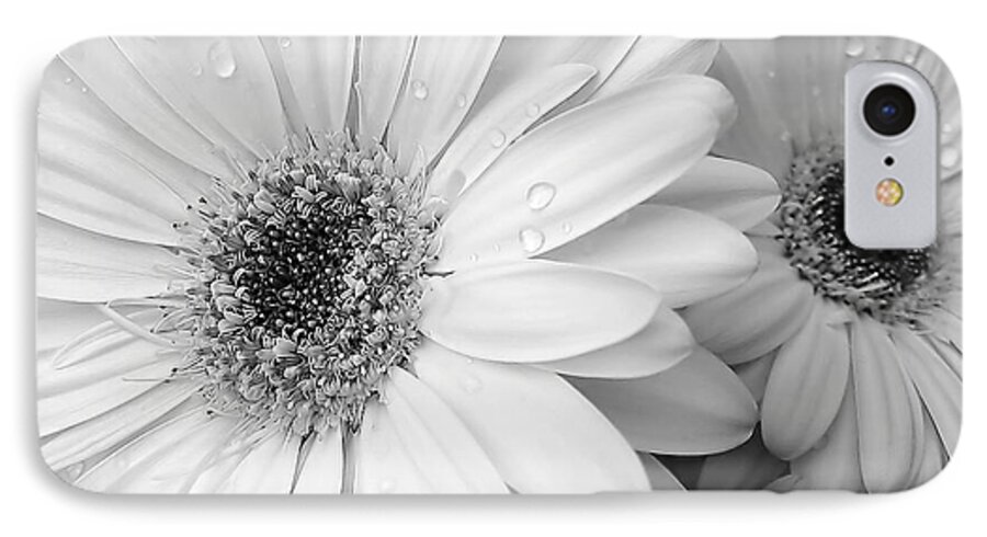 Daisy iPhone 7 Case featuring the photograph Gerber Daisies in Black and White by Jennie Marie Schell