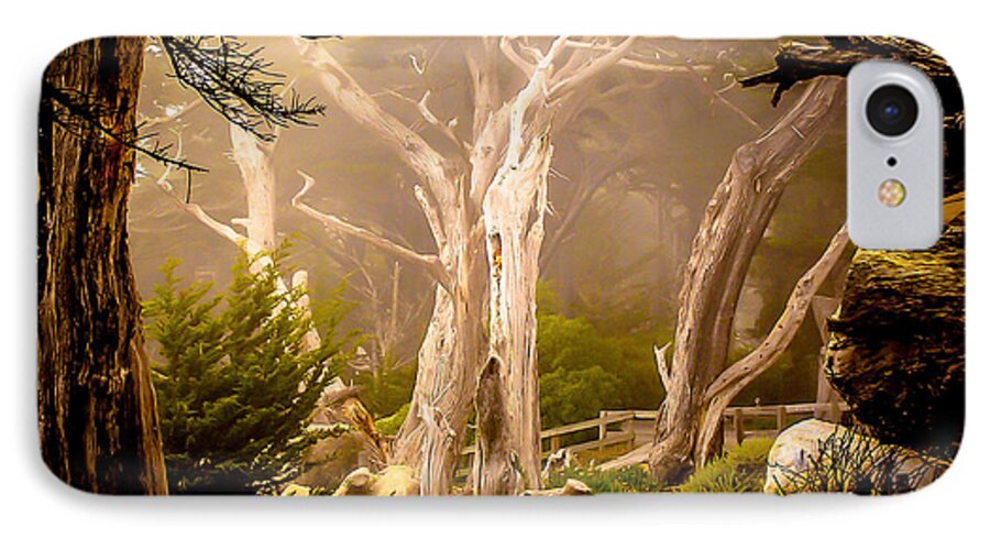 Trees iPhone 7 Case featuring the photograph Ghost Tree by TK Goforth