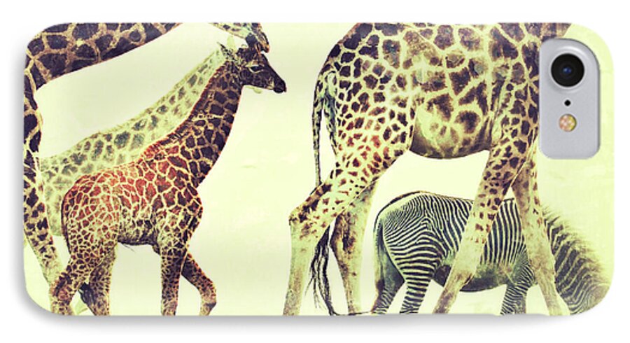 Giraffes iPhone 7 Case featuring the photograph Giraffes and a zebra in the mist by Nick Biemans